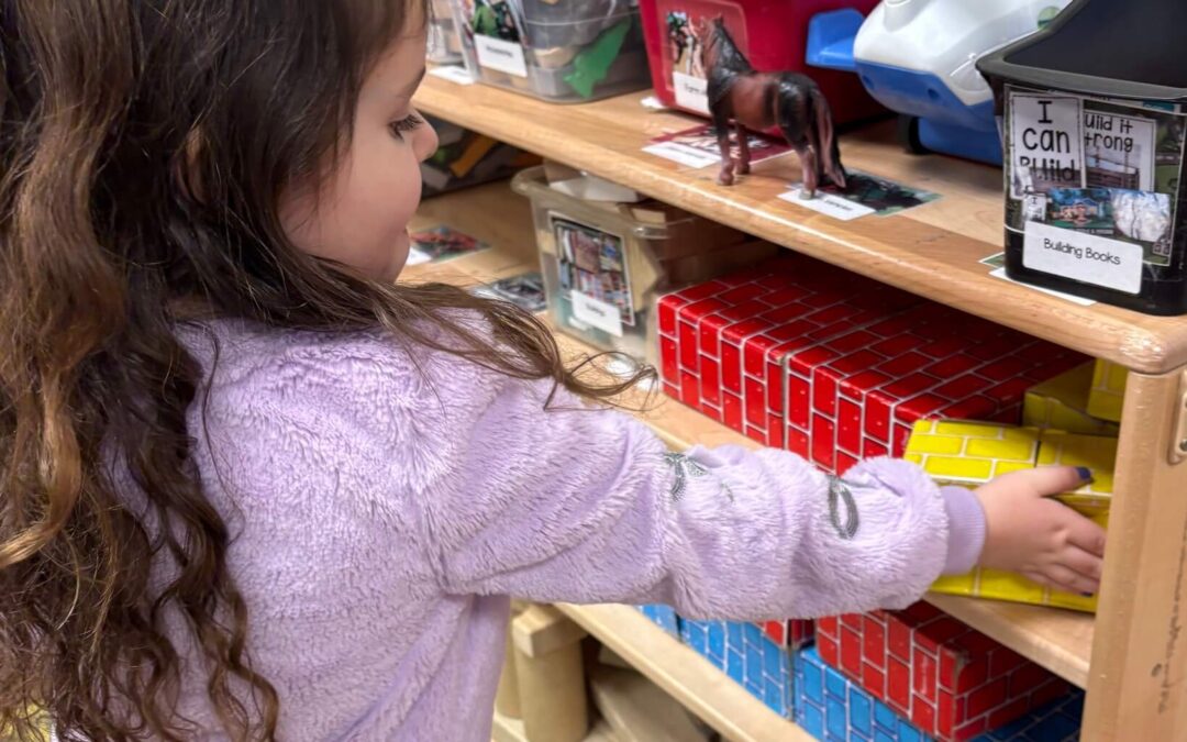 The Power of Tiny Goals: Nurturing Success in Young Children